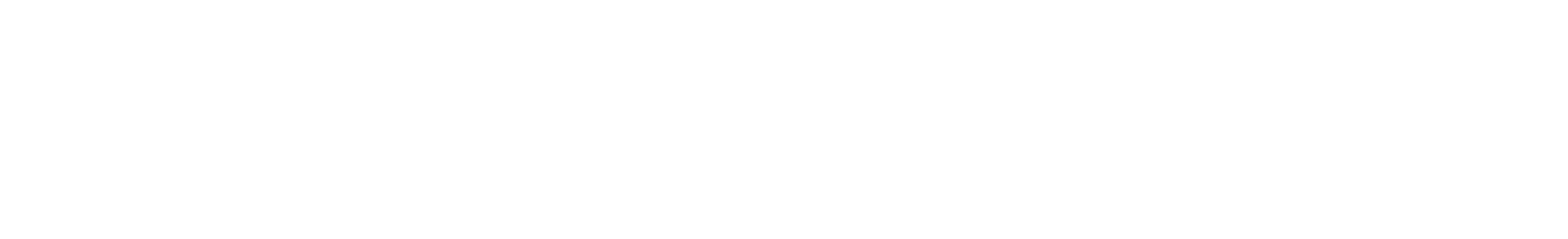 Aerobag